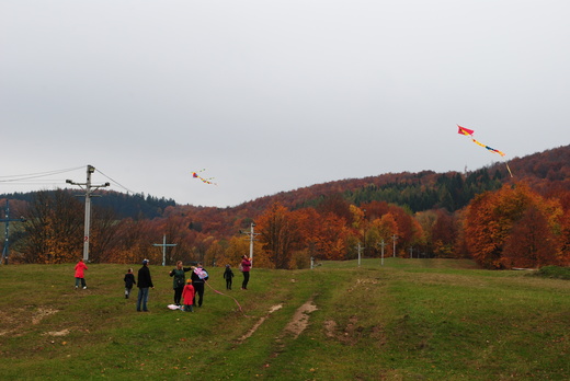 DSC_0926.JPG